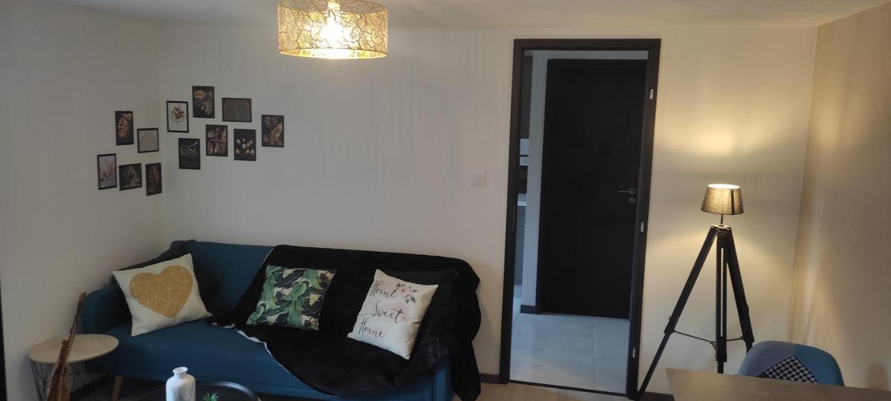 Apartmán Les Souvenirs D'Alsace Colmar Exteriér fotografie